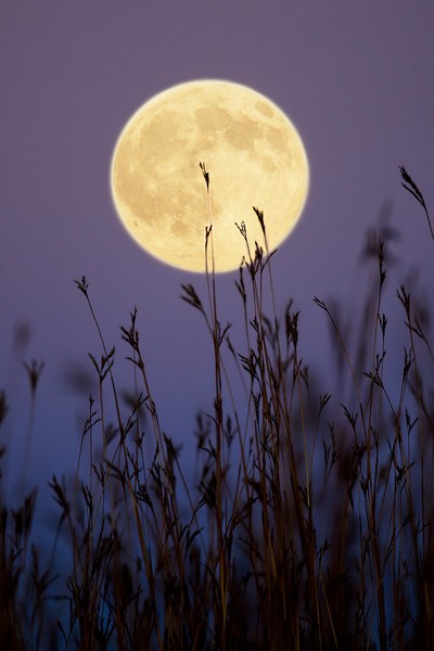 Hunters Moon
