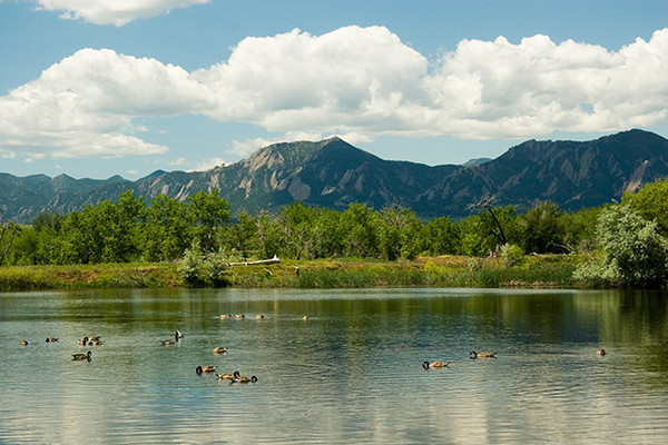Lazy Summer Day At Sawhill