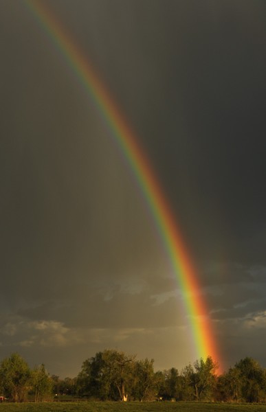 Fire Rainbow