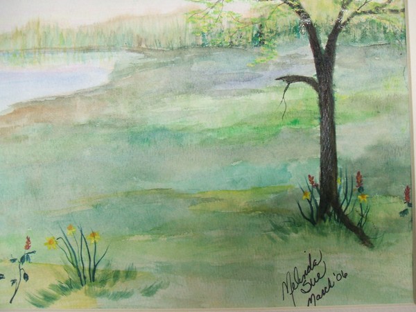Lonely Tree
