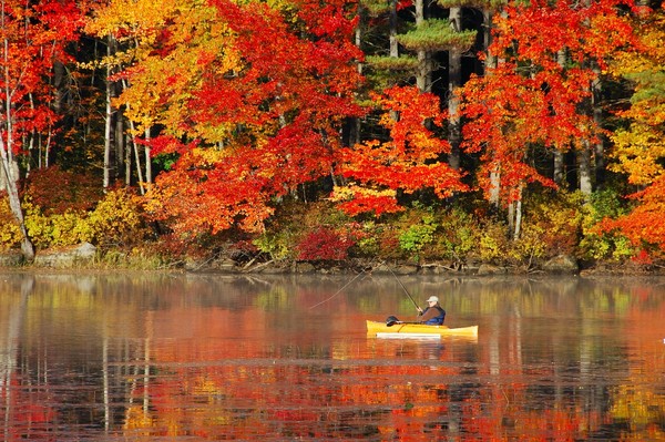Fall in New Hampshire