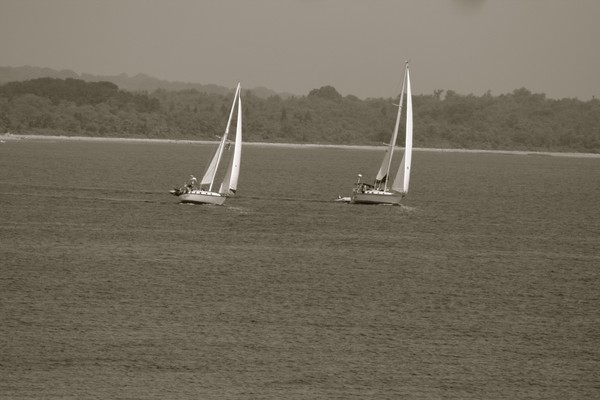 Sail on silver birds
