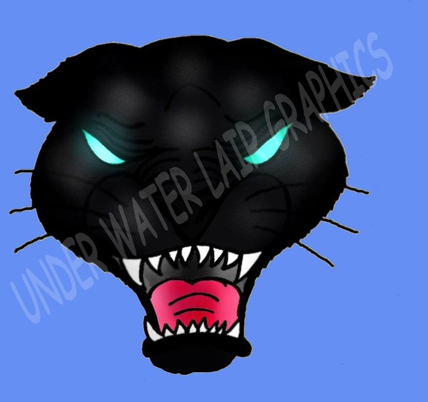 BLACK  PANTHER
