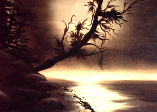 sienna shore