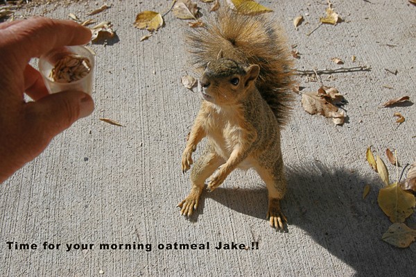 Jake