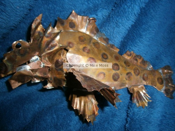 Rock Fish
