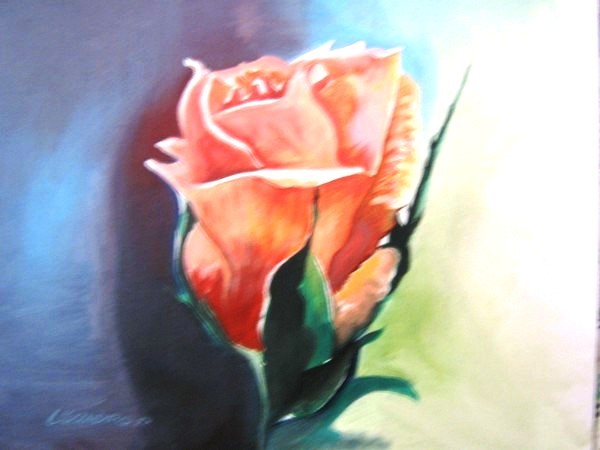 red rosa