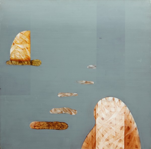 Floating Debris