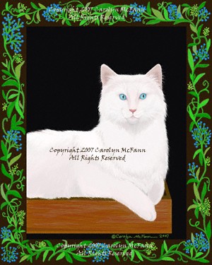 Beau the White Snow Cat