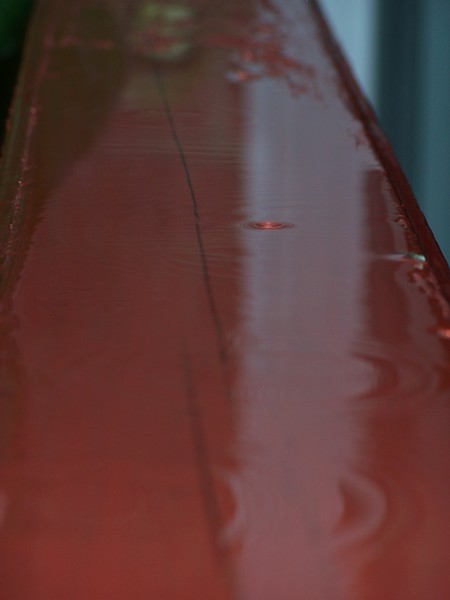 Rainy Reflections