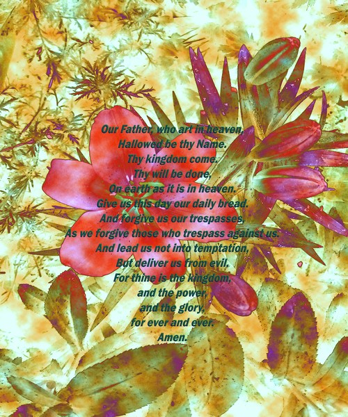 The Lord's Prayer Lilies