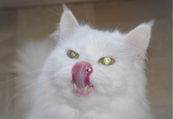 KITTI