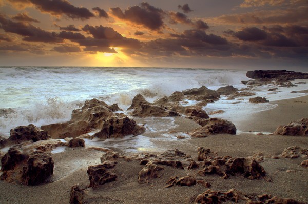 golden rays