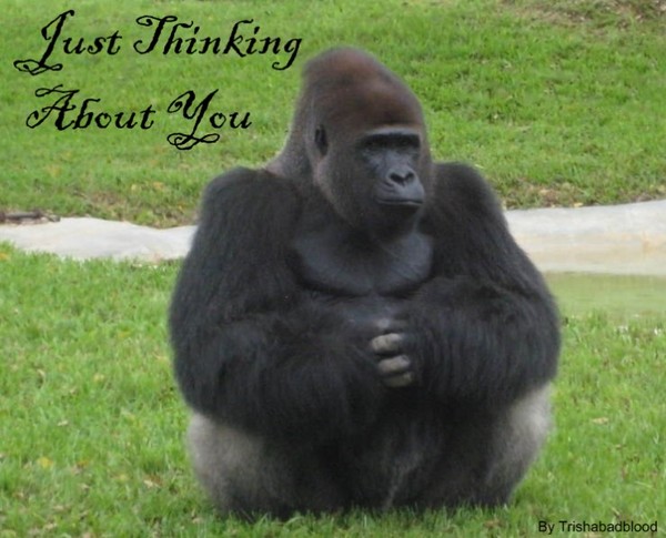 thinking of you