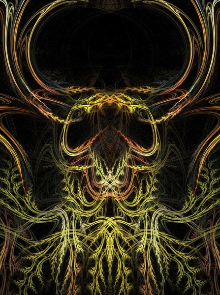 Plants 11