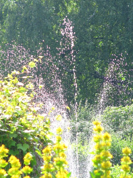 fountain...