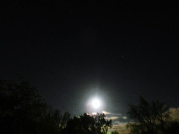 MOON MADNESS