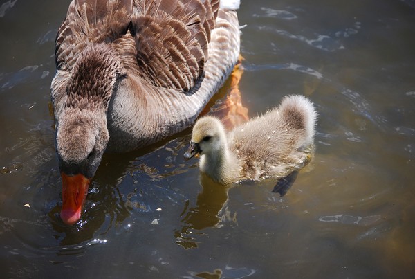 Mommy and baby
