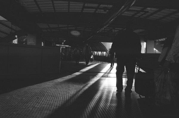 metropolin in the trein