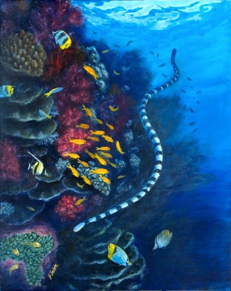 Sea Snake