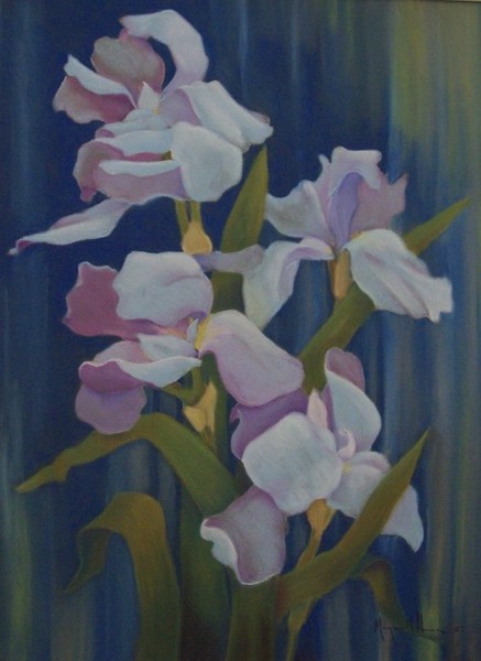 irises