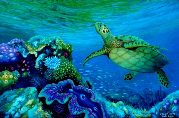 Green turtle and Giant Clam