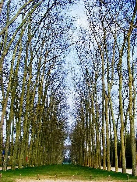 Guard of Honour - Versailles