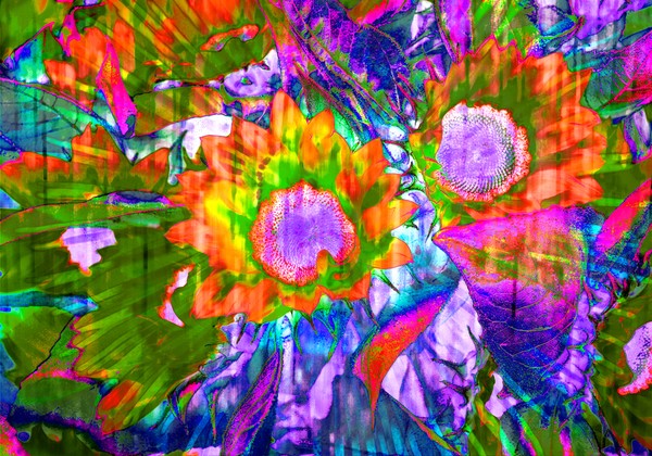 flowered colors