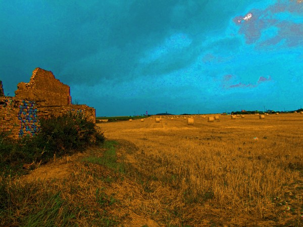 Ancient field