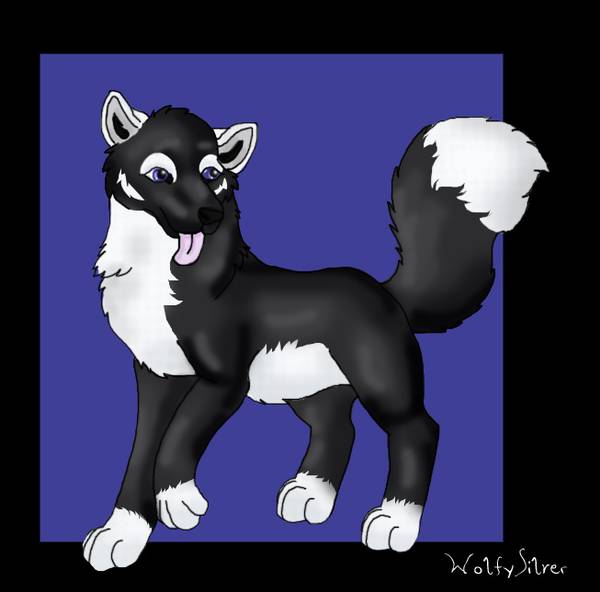 For Shayde