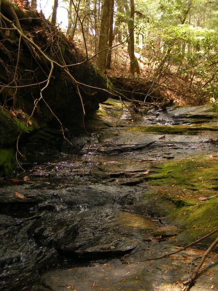 Creek