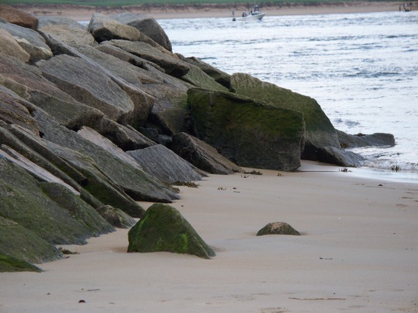 The Rocks
