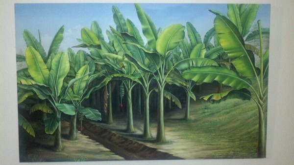 el platanal