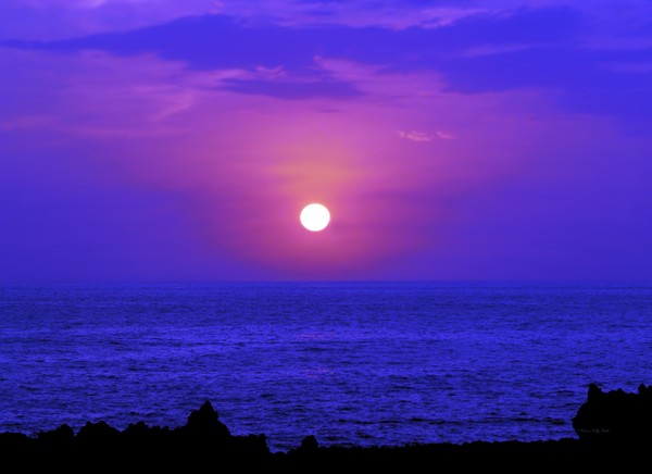 Aloha IV
