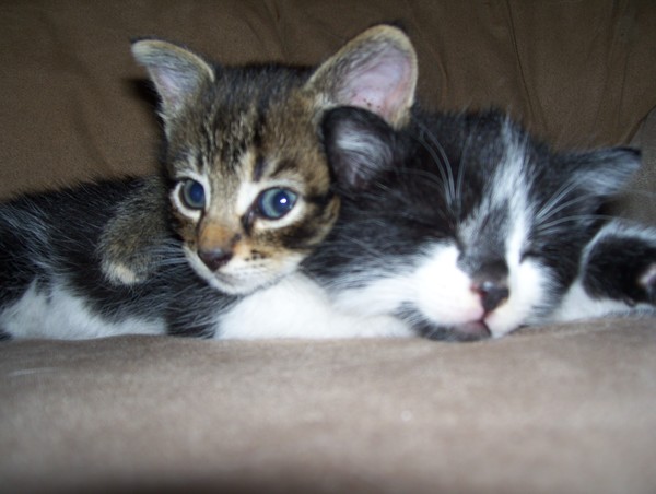 taking care of little brother