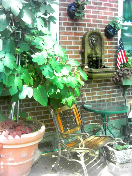 House on Ferry Street