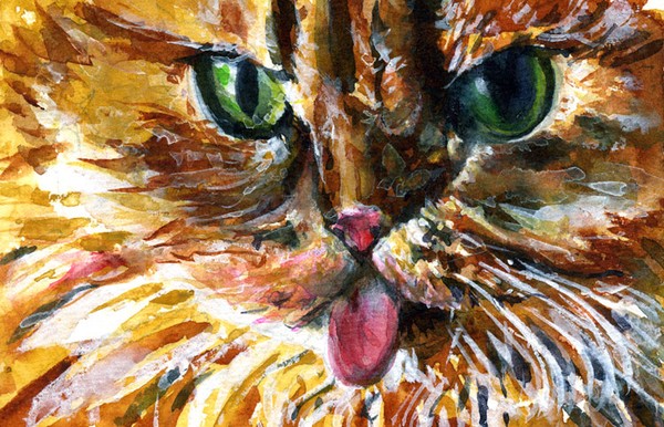 Cats Eyes 8