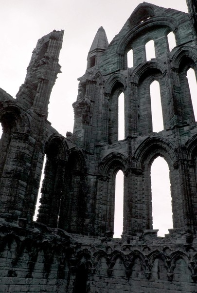 Whitby Abbey Detail