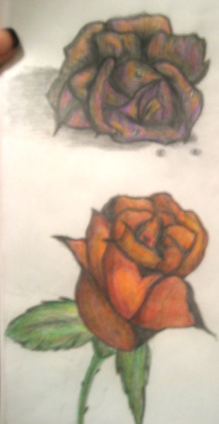 Roses 