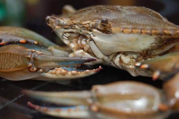 Crab 2