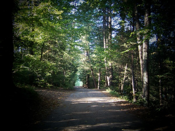 Mountain Pass