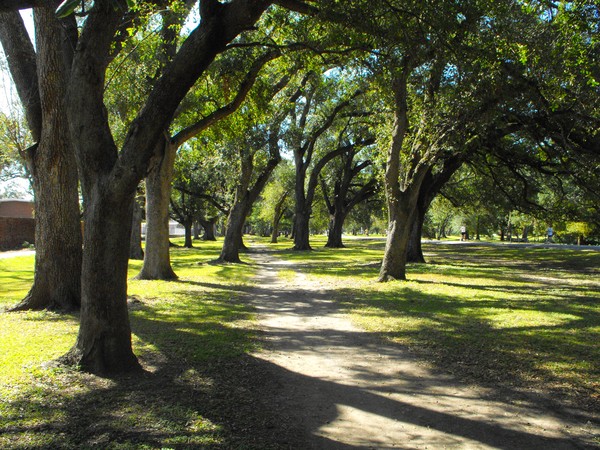 Audubon park in New Orleans