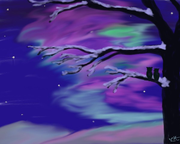 Northern Night