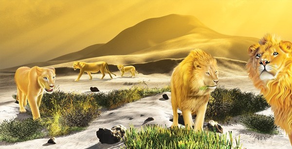 do you know that lion eat grass too?