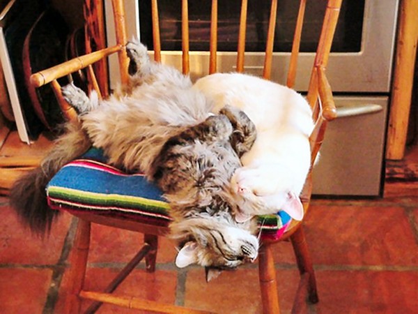 Kitchen Duty is Exhausting
