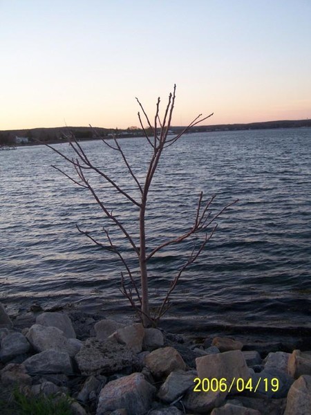 scenery