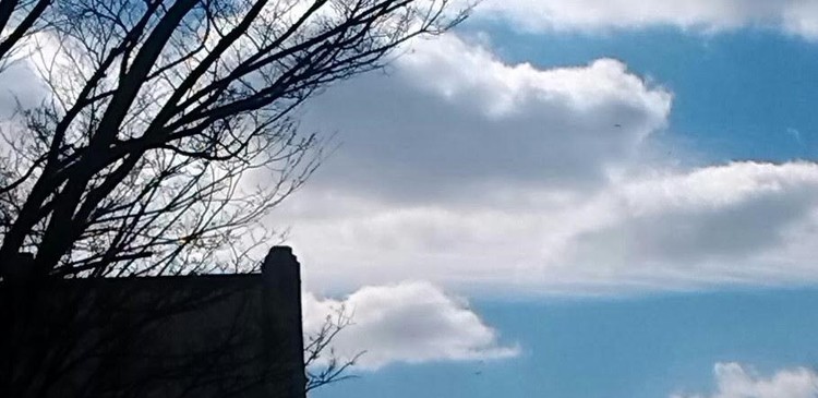 Dog Form In Clouds