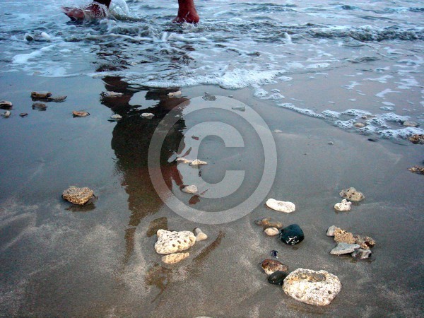 The Shore