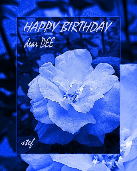 BD greetings for Dee