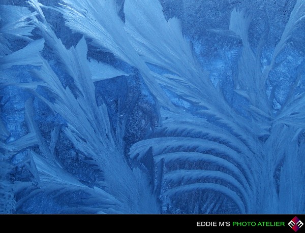 Winter's Signature
